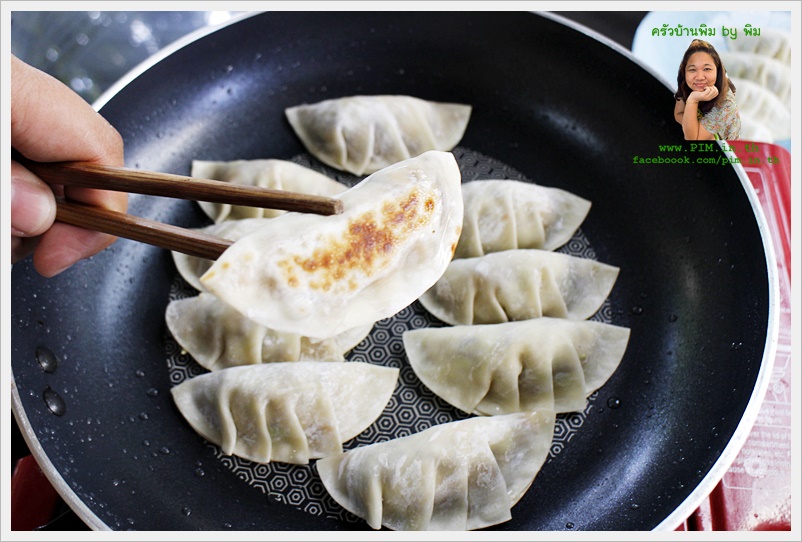 vegetarian gyoza 109