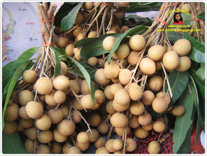 http://pim.in.th/images/pim-nature/longan2011/03.JPG