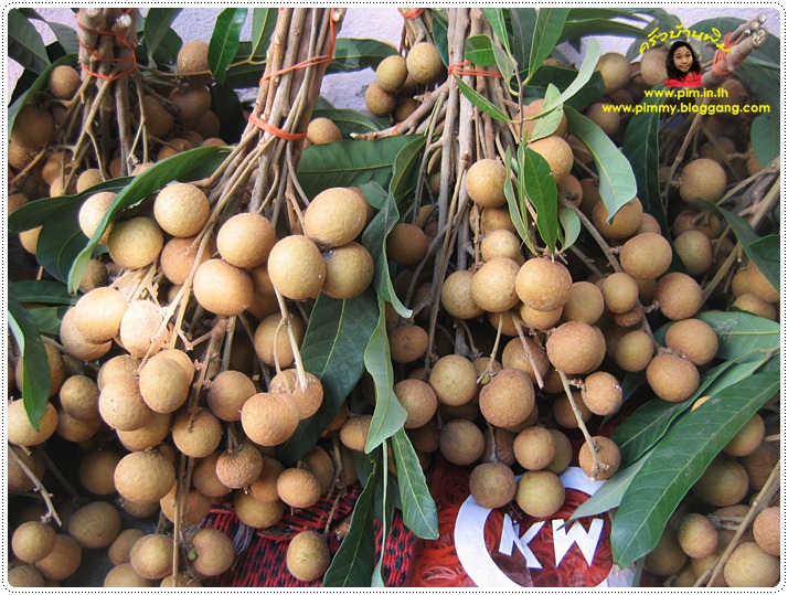 http://pim.in.th/images/pim-nature/longan2011/06.JPG